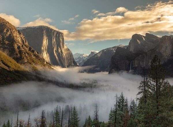 Sendero natural rodeado de árboles y luz suave en un entorno tranquilo
